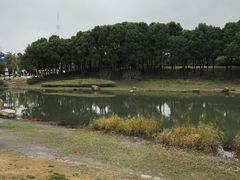 绿地-美兰湖景区