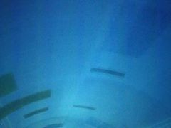 -大连圣亚海洋世界