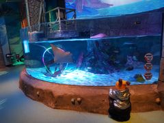 -沈阳海洋探索中心