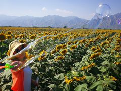 -敕勒川草原文化旅游区