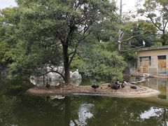 -昆明动物园