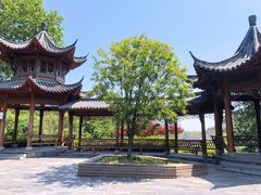 -铜陵市铜官山森林公园