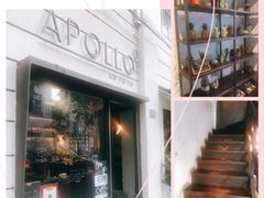 -Apollo·西班牙小酒馆(安福路店)