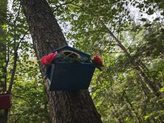 -五营红松林海景区