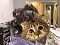 -伊本造型