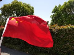 -东平国家森林公园