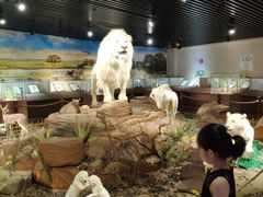 -陕西自然博物馆