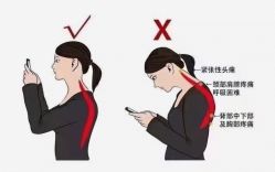 -香薇妮丝女子减肥院