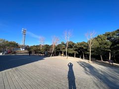 -北京西山国家森林公园