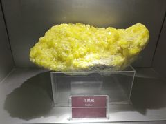 -甘肃地质博物馆