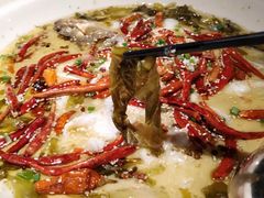 -江渔儿酸菜鱼(东二环泰禾店)