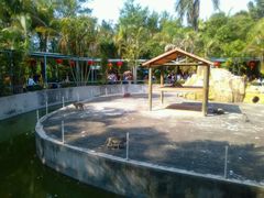 -广东茂名森林公园