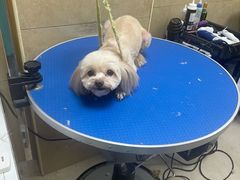 -佳雯宠物医院·皮肤科·内外科(春晓路分院)