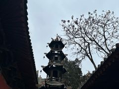 -玉泉观