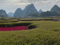-靖西鹅泉风景区