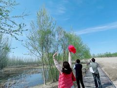-东郊湿地公园