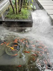 点击看大图 -爱儿美儿童摄影(朝阳公园店)