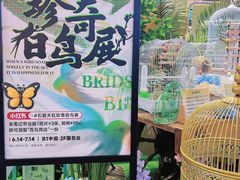 -天虹购物中心(石路店)