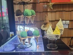-野人先生现做冰淇淋(北京顺义祥云小镇店)