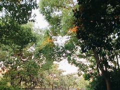 -春兰国宾馆(凤城河风景区老街店)