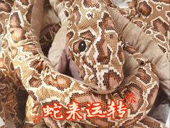 -宜家家居(四元桥商场店)