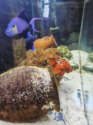 -Zoolung Zoolung动物主题公园(海信广场店)