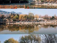 -泰山花样年华景区