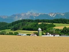 -富田农场
