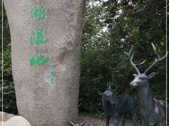 -溱湖国家湿地公园