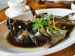 清蒸石斑鱼-范饭椰林川湘味海鲜·椰子鸡(三亚湾椰梦长廊店)