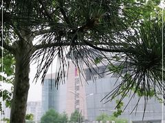 -百荣世贸商城