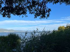 -大理洱海