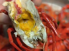 -虾乐园龙虾·夜宵(松江店)