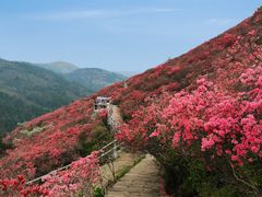 -木兰云雾山