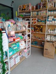 -香港3861婴幼儿游泳馆(东海商务中心店)