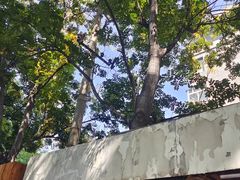 -猫爷的腔调·黔小馆(交大医学住宅区店)