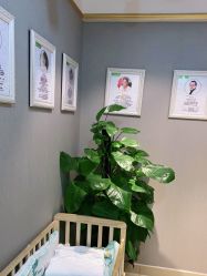 -Dr.林醫生产后修复·配方产康(南京江宁万达店)