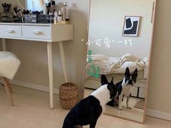 -申远空间设计丨大宅别墅装修定制(徐汇设计中心)