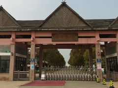 -上海都市菜园