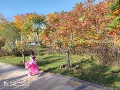 -林栖谷森林康养度假区