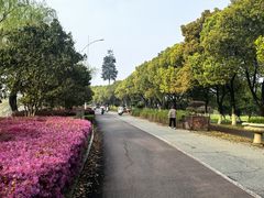 -艾溪湖湿地公园