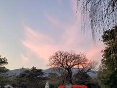 -八大处公园