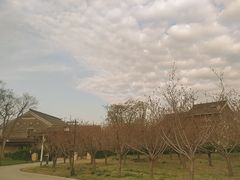 -江苏三台山国家森林公园