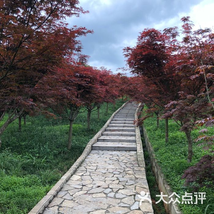 南湖多彩植物園