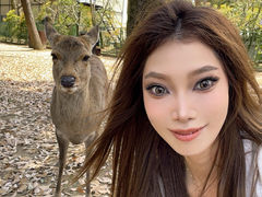 -奈良公园