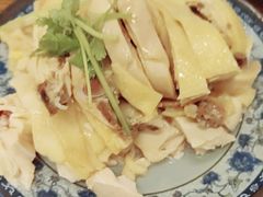 -九斤黄三黄鸡专卖店