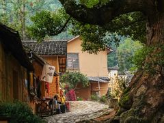 -杨家堂村