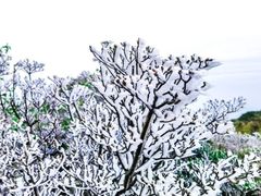 -梧桐山风景名胜区