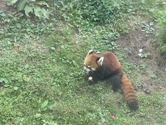 -沈阳森林动物园