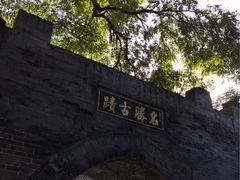 -大槐树寻根祭祖园